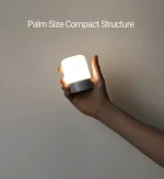 Xiaomi NexTool Multifunction Camping Light 600 Lumen USB Rechargeable Outdoor Lantern