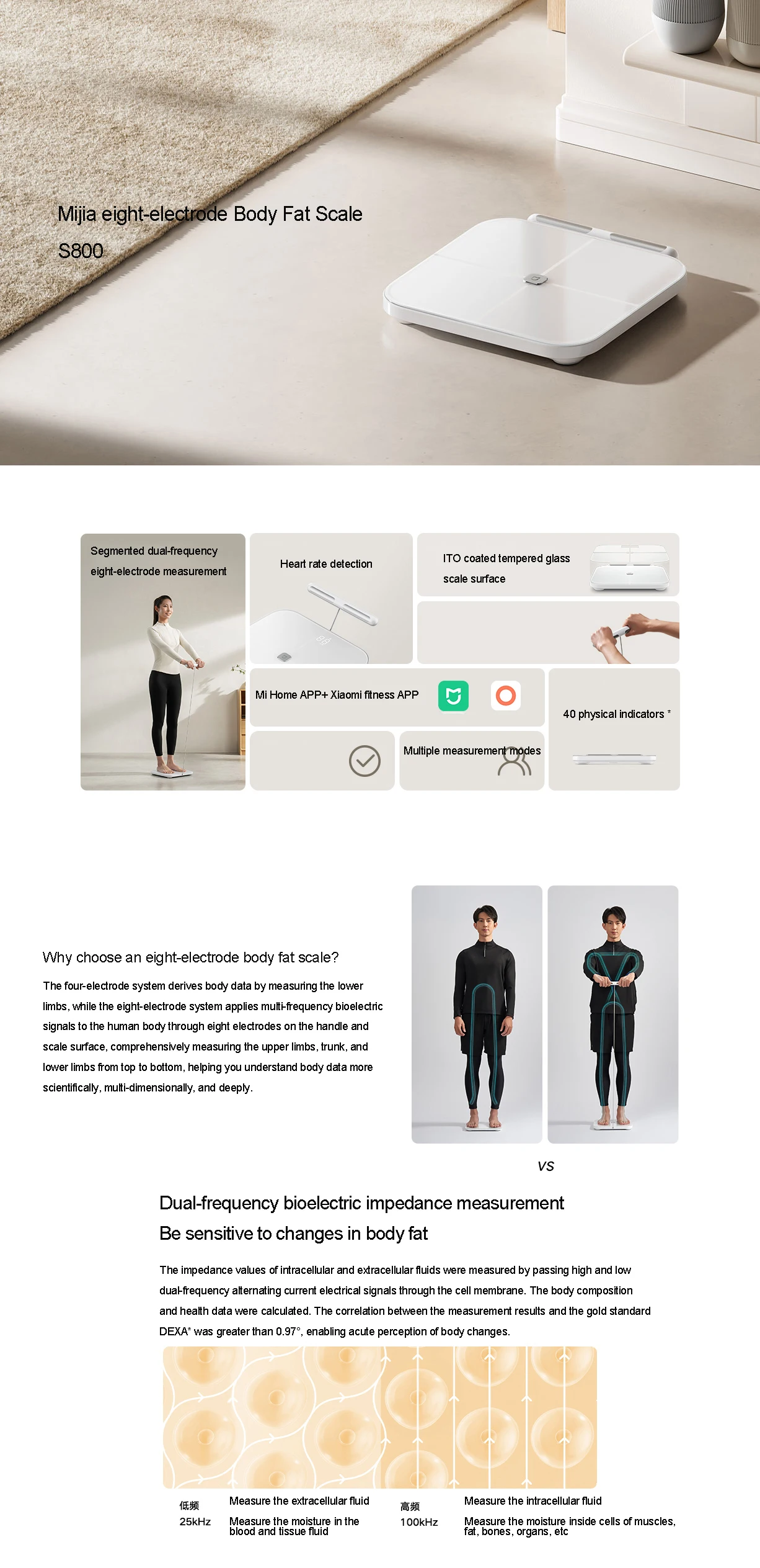 Xiaomi Mijia S800 Eight Electrode Smart Body Fat Scale with Handheld Electrodes and LED Display